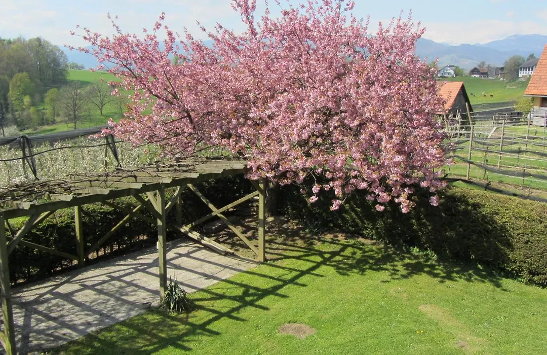 Pension Maria Wallner-1
