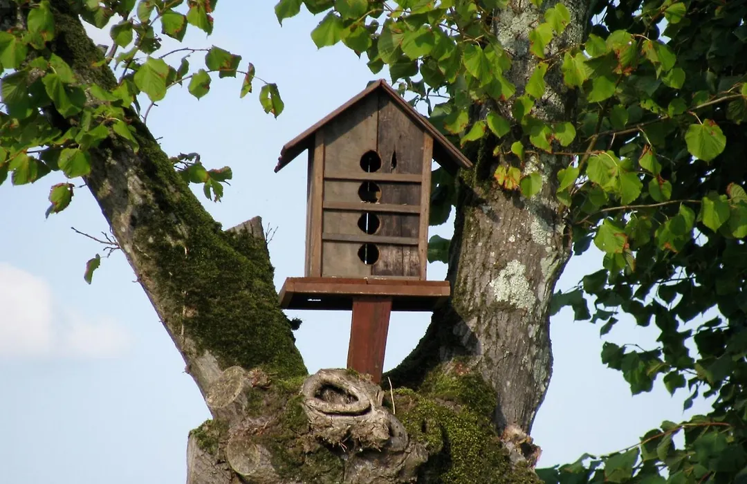 Le Domaine des Gauliers-1