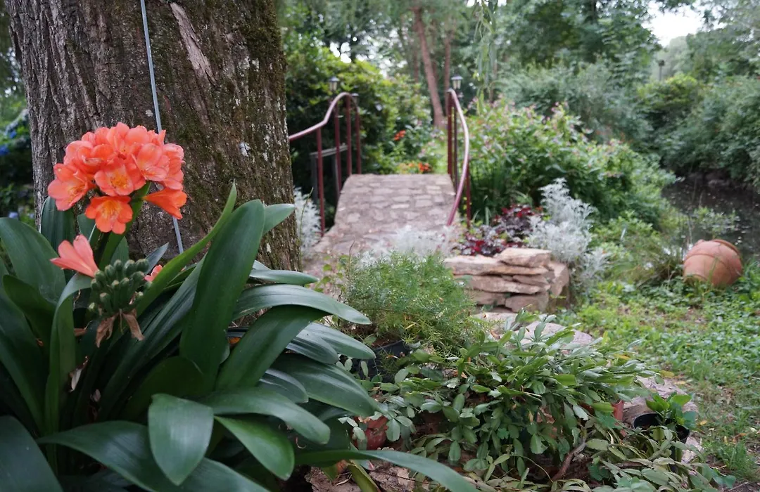 Le Moulin du Bignon-1