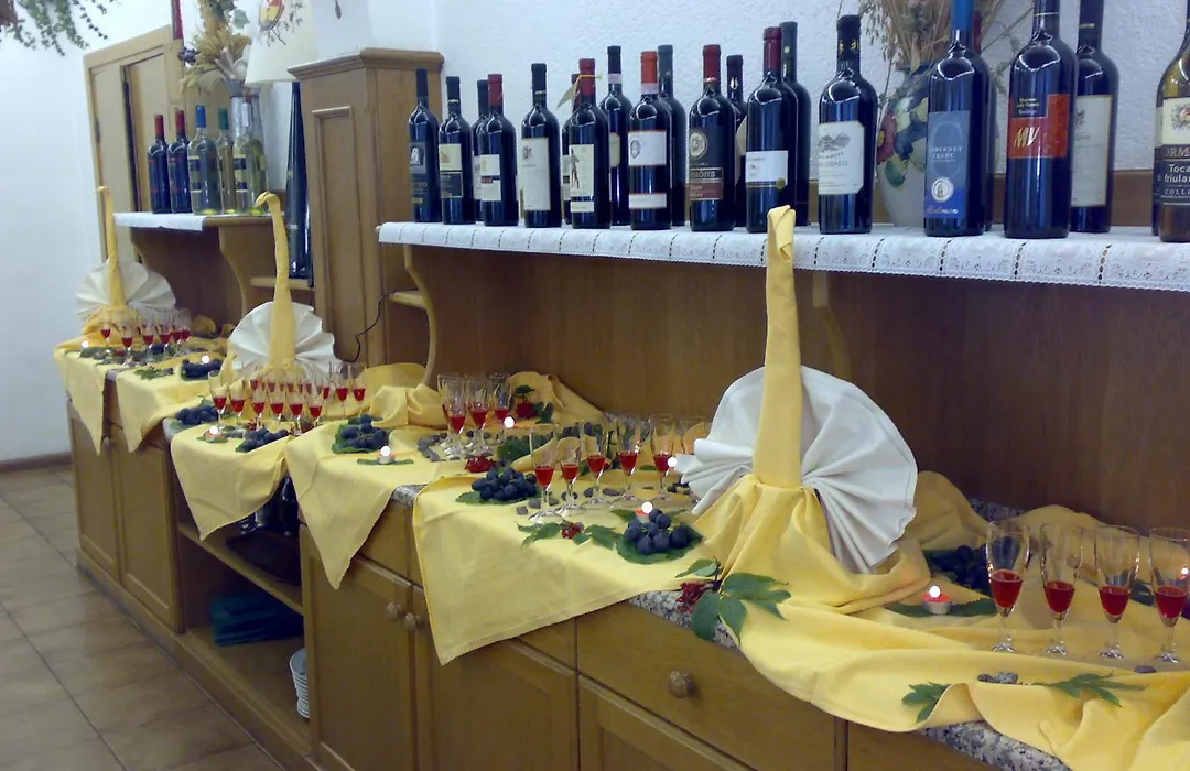 Hotel Villa Agomer-1