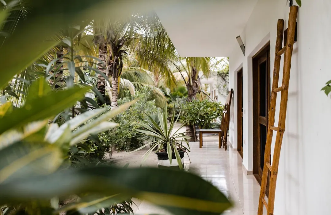 White Paradise Zanzibar-1