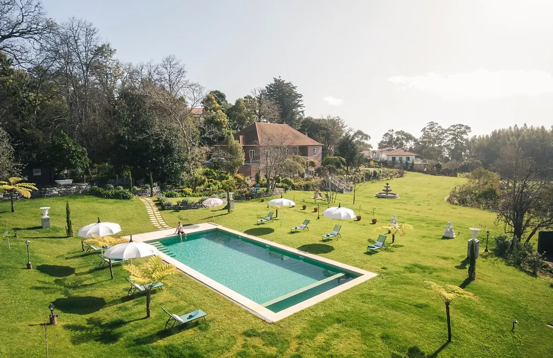 Villa Camelia Boutique House-1