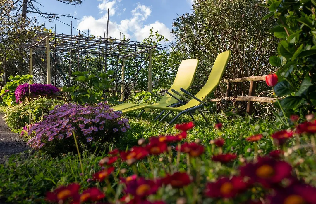 Il Giardino dei Pavoni-1