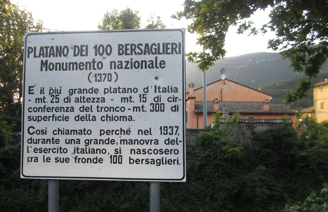 Albergo Al Platano-1