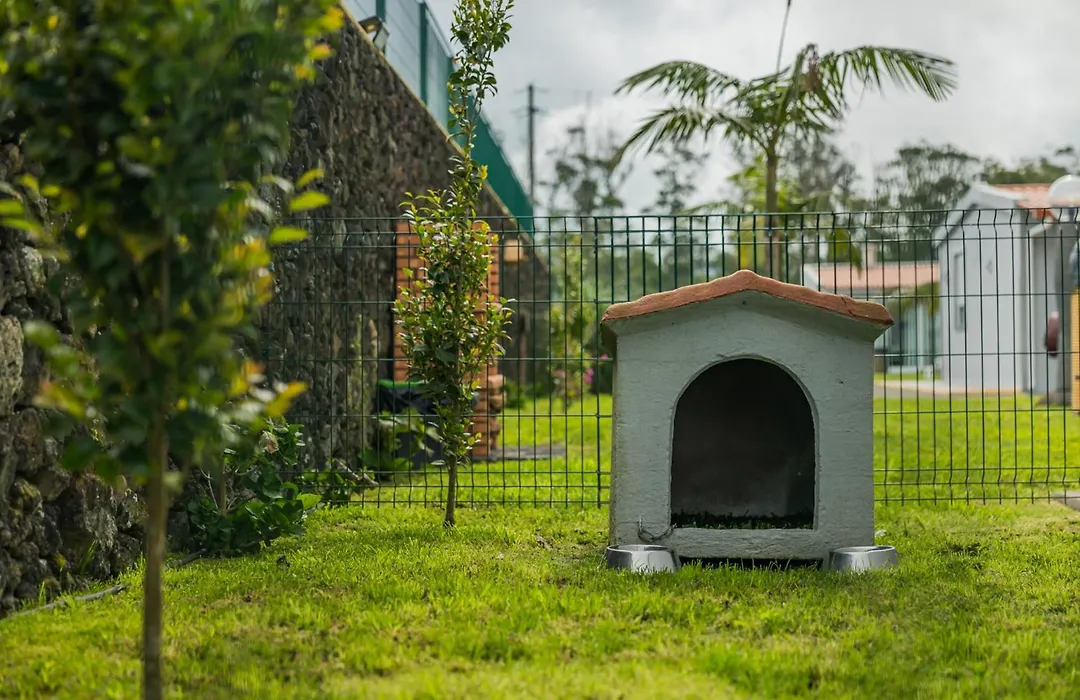 Parrots'Village-1