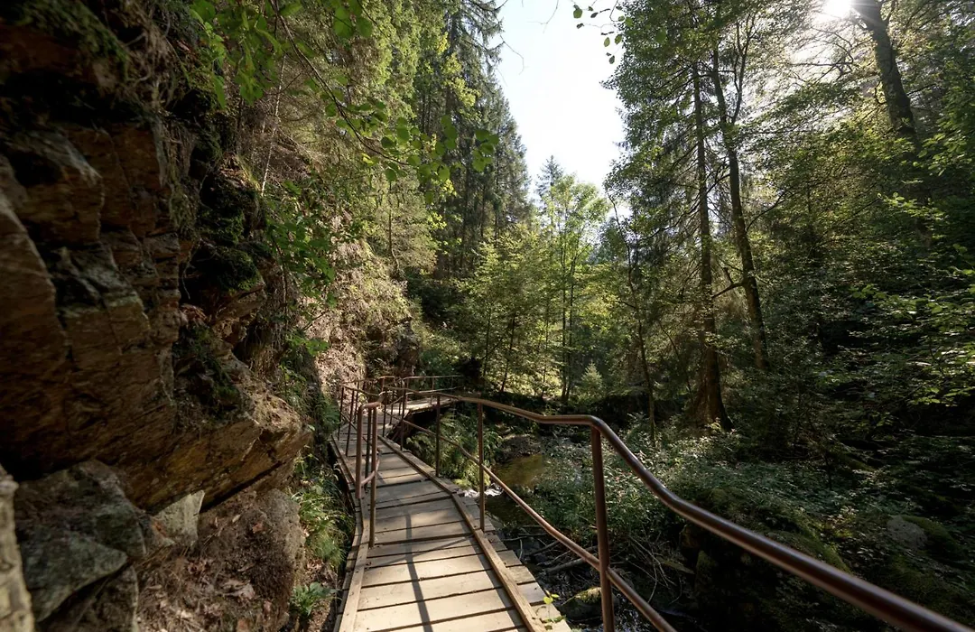 Hotel Sonnenberg Garni-1