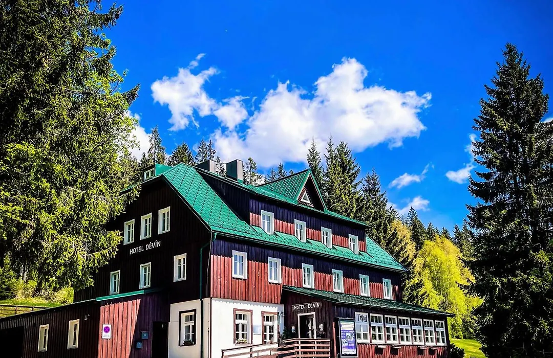 Hotel Devin-1
