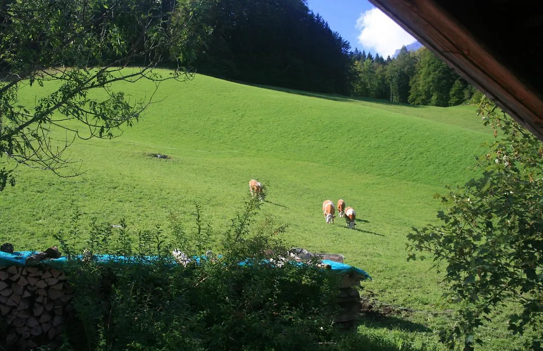Alpenhotel Beslhof-1