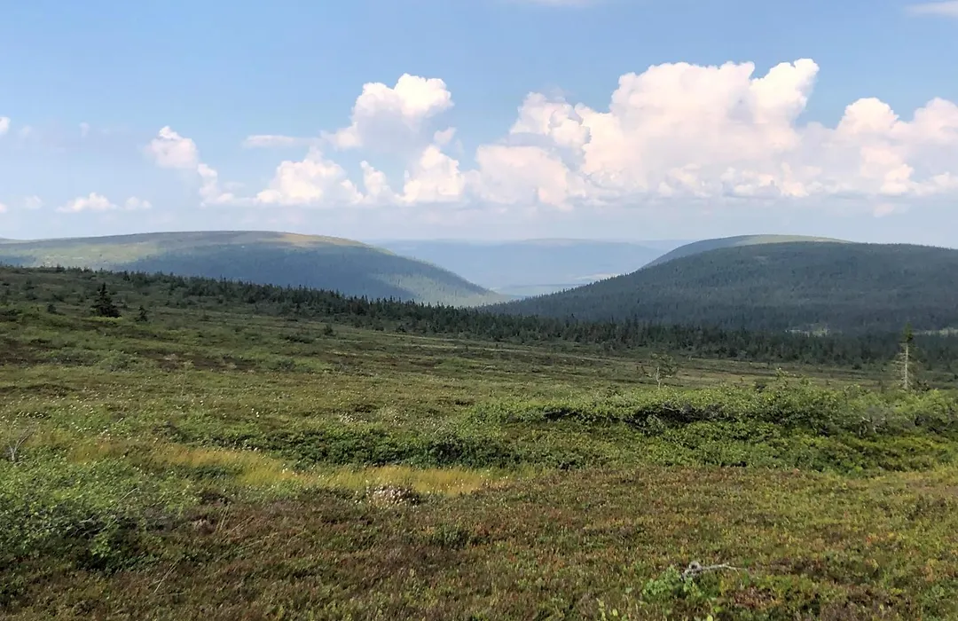 Mountain Lodge-1