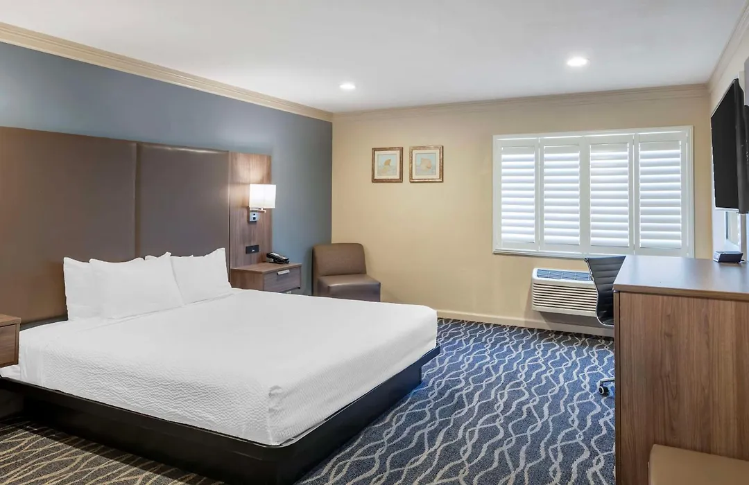 Best Western Plus Hill House-1
