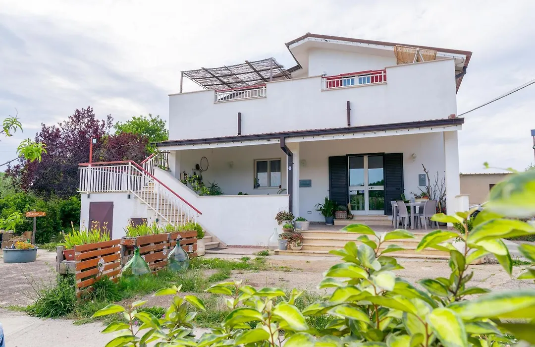 Arome B&B-1