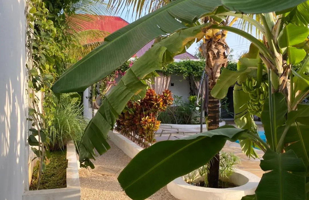 Cactus Lodge Zanzibar-1