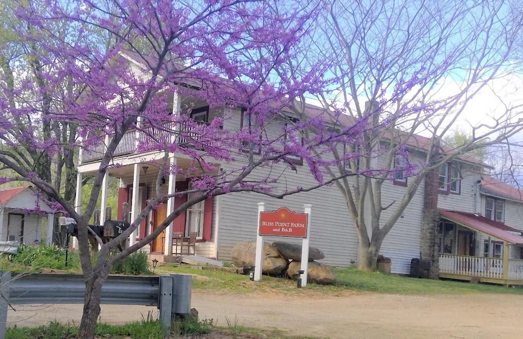 Bliss Point Farm-1