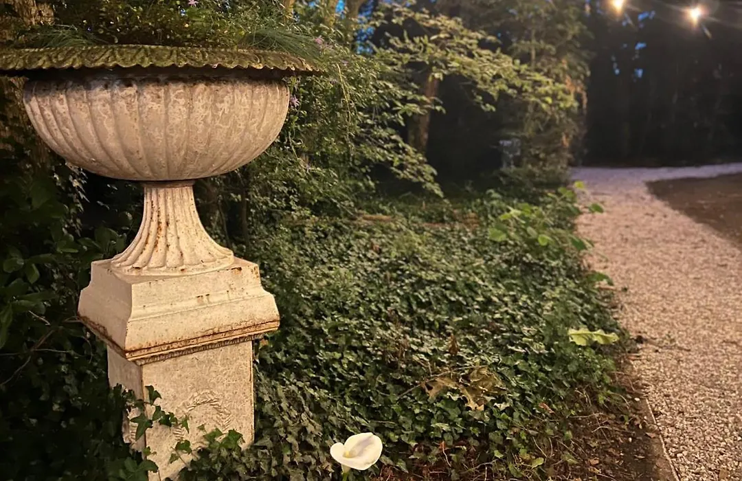 Hotel Fleur De Lys-1