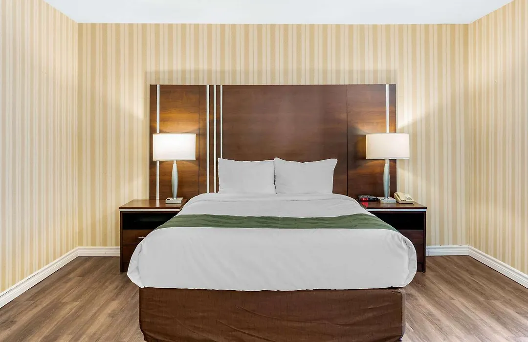 Quality Hotel & Suites-1