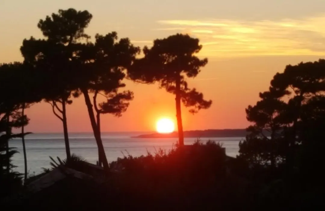 Chambre d’hôtes Pyla sur Mer-1