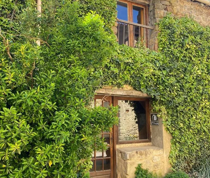 Gîte de la Bastide - Cabania Pays Cathare-1