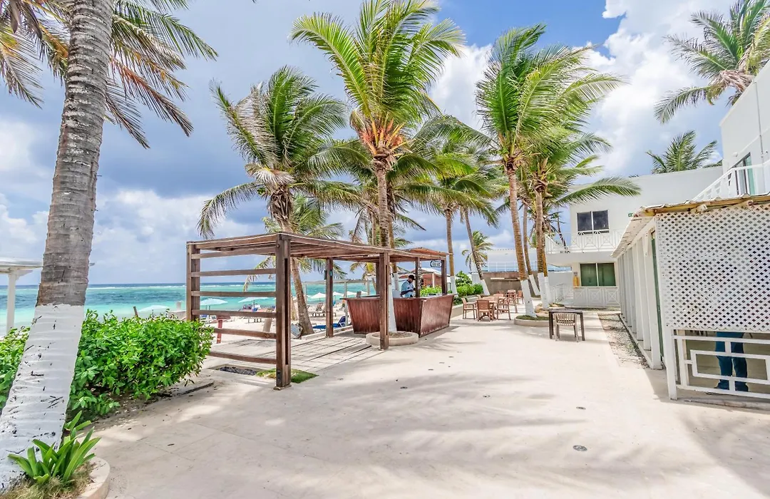 Hotel San Luis Beach House By Oxohotel-1