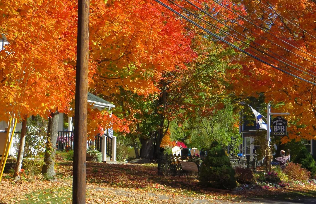 Farmhouse Inn B&B-1