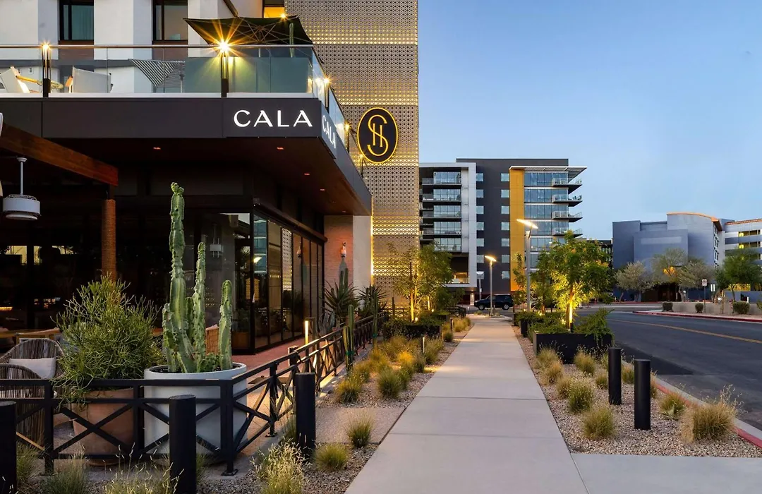 Senna House Hotel Scottsdale, Curio Collection By Hilton-1