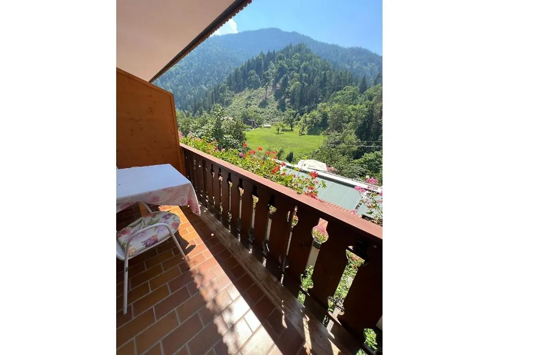 Gasthof Zur Sonne-1