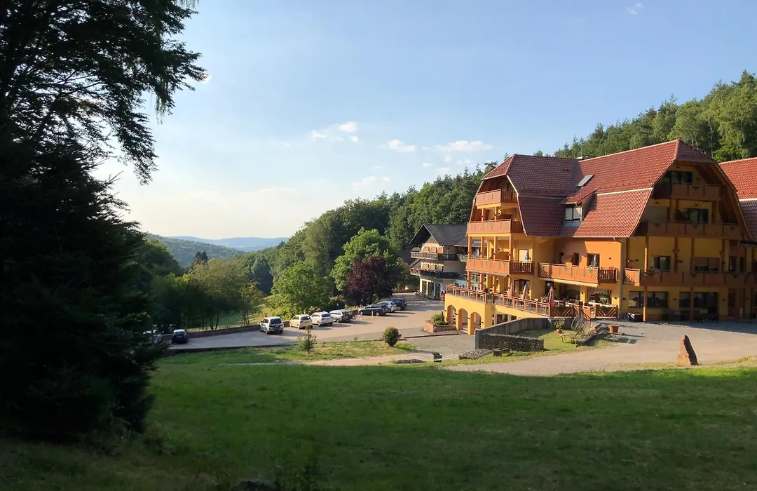 Wald-Hotel Heppe-1