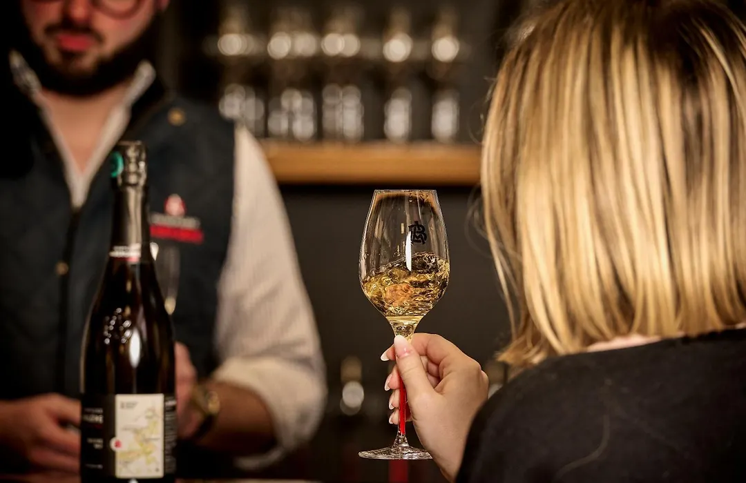 Champagne Andre Bergere & Suites-1
