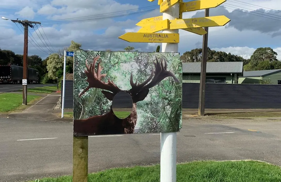 Ashhurst Deer N Duck Inn-1
