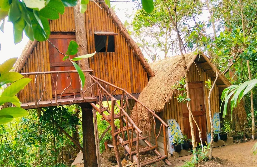 Sanctuaria Treehouses Busuanga-1