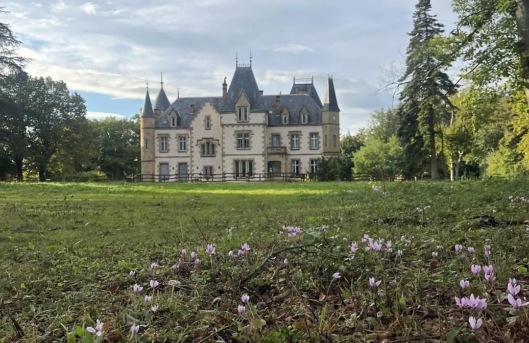 Chateau Tout Y Fault-1