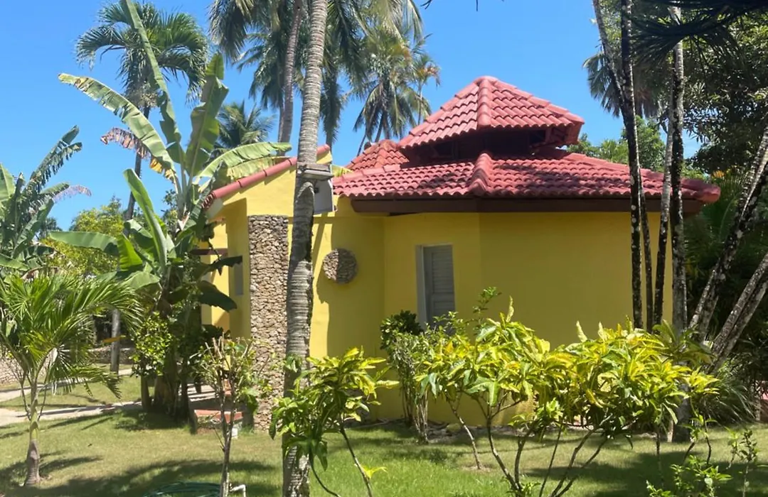 Palms Lounge Cabarete-1
