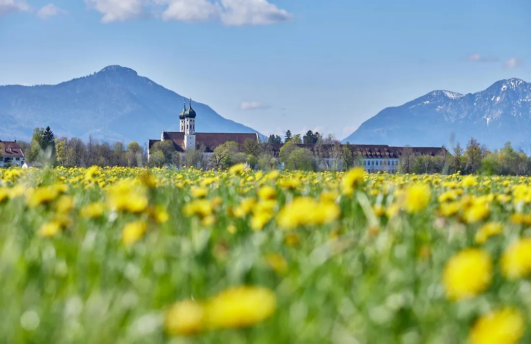 Gäste- und Tagungszentrum im Don Bosco Kloster Benediktbeuern-1