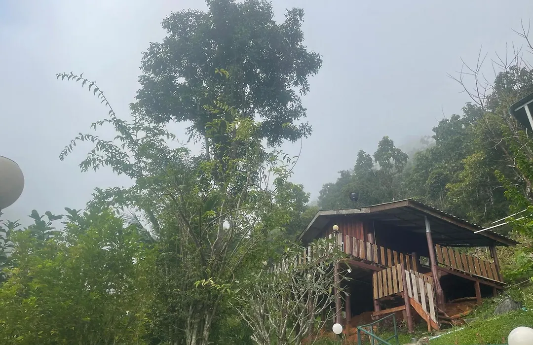 Forest Guesthouse-1