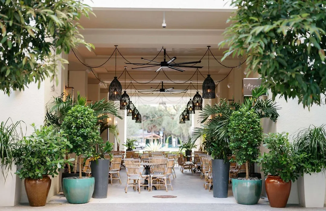 Thesis Hotel Miami Coral Gables, Curio Collection By Hilton-1