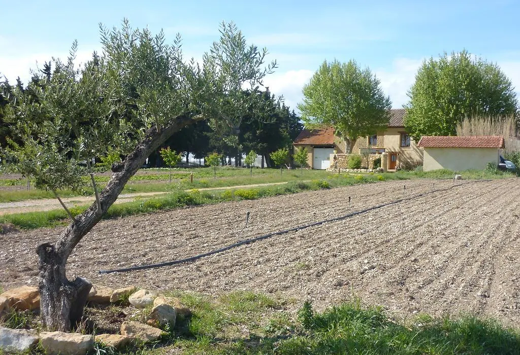 La Ferme Du Midi-1