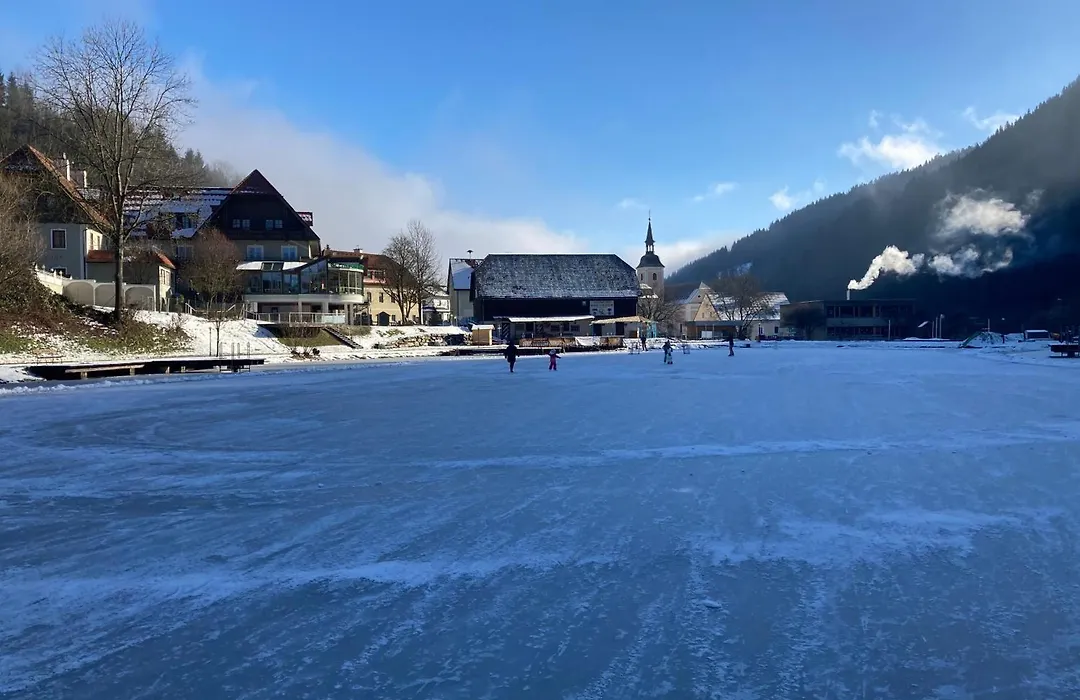 Seegasthof Breineder - Familien&Seminarhotel-1