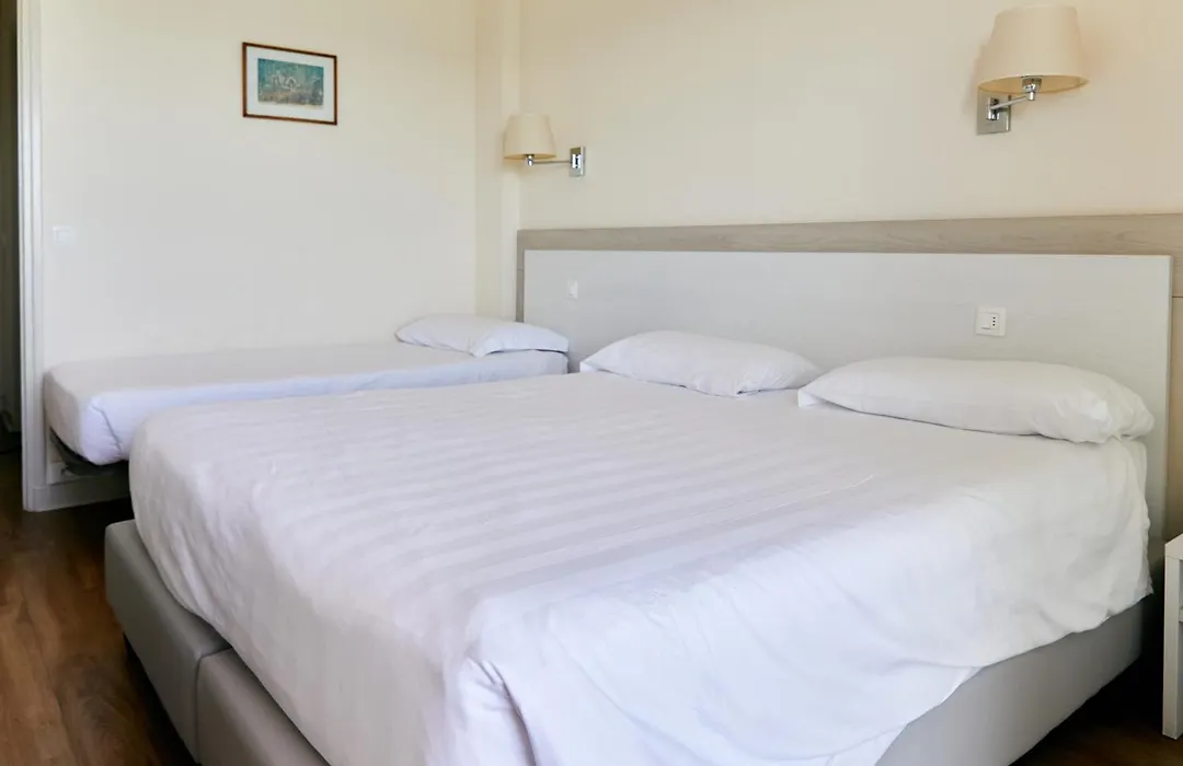 Hotel Le Dauphin-1