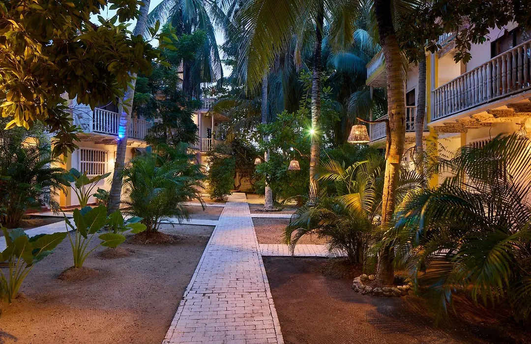 Fenix Beach Cartagena-1