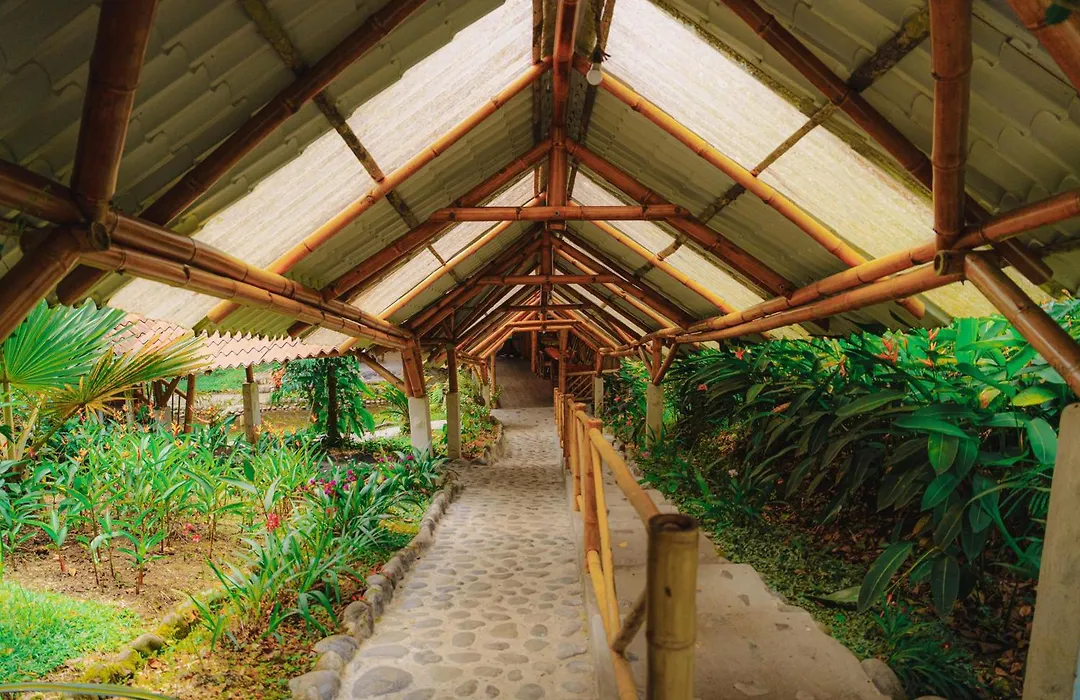 Finca Las Palmas Ecolodge-1