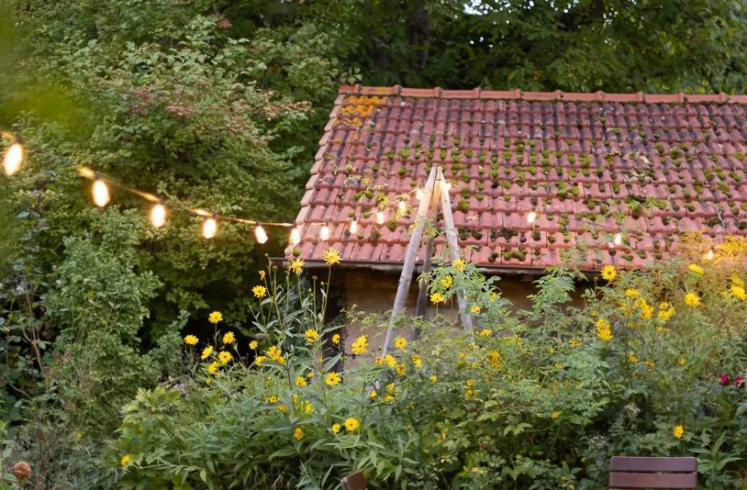 Gasthaus zum Schwan-1