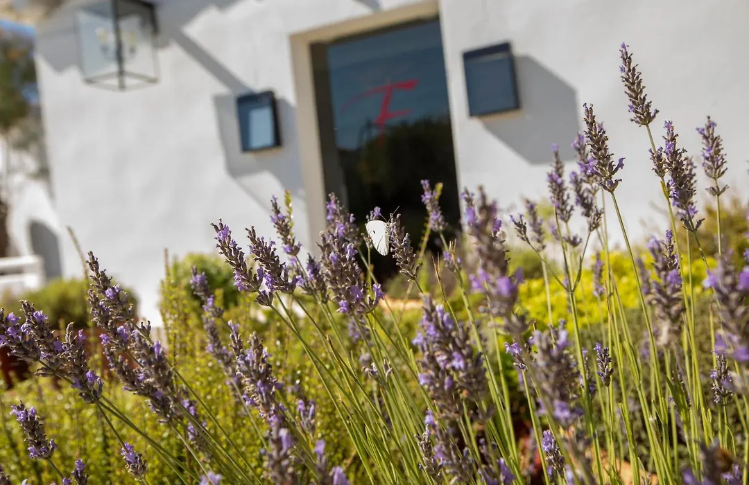 Mas De La Fouque - Hotel & Spa-1