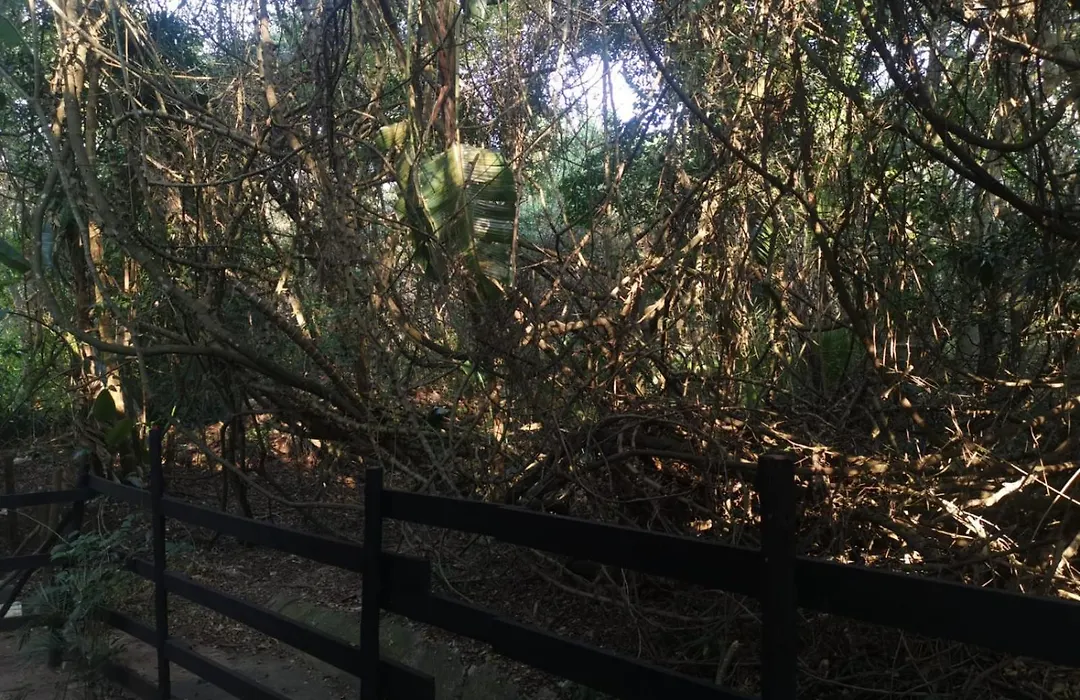 Bush Cottage-1