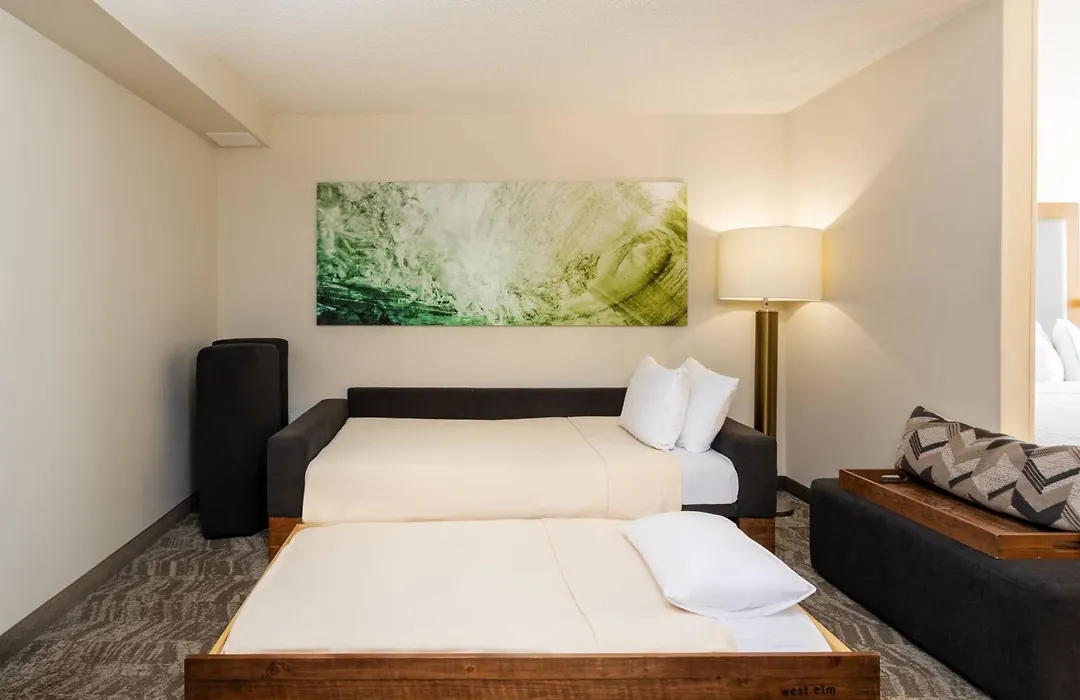 Springhill Suites By Marriott Miami Airport South Blue Lagoon Area-1