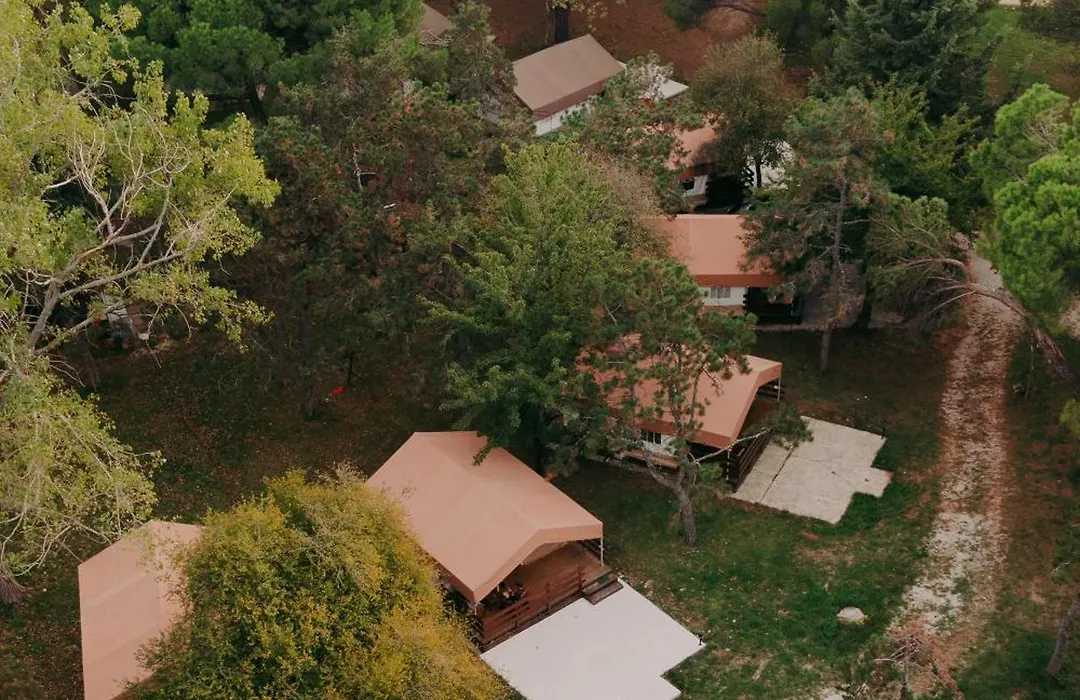 Sunflower Camping Savudrija-1