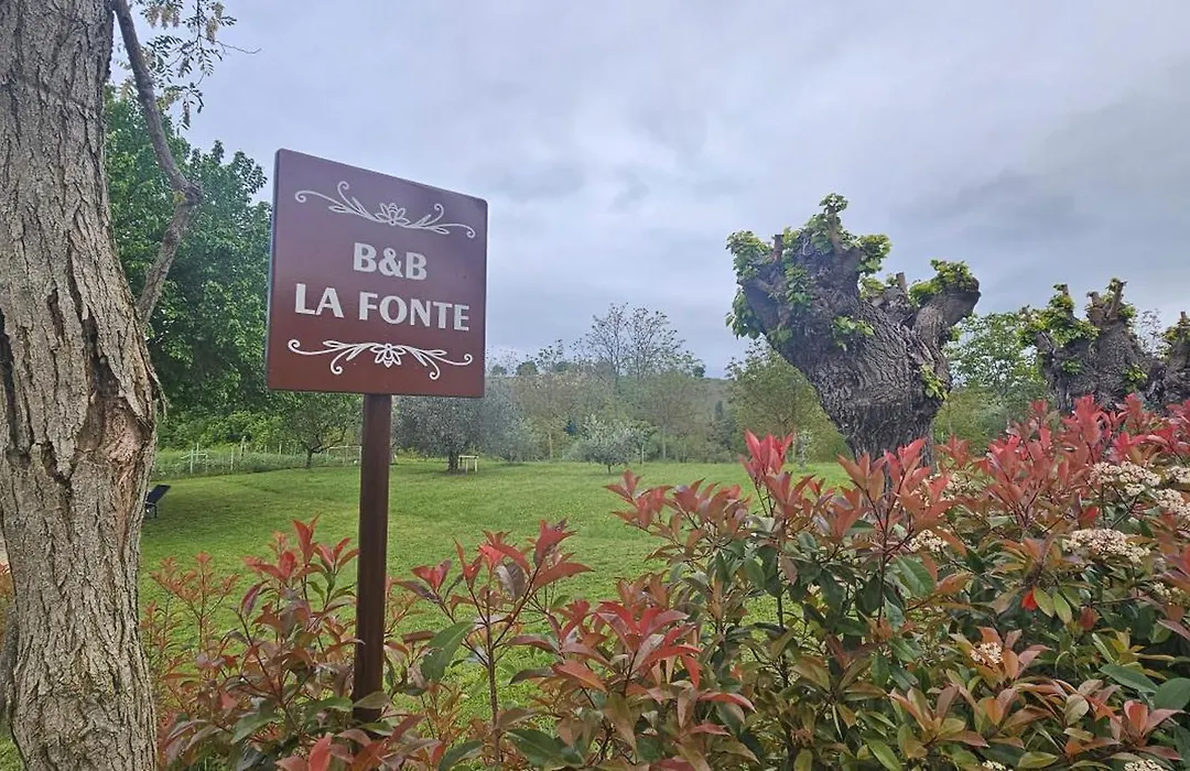 B&B La Fonte-1