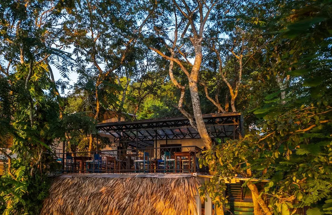 Las Luciernagas Hotel-1