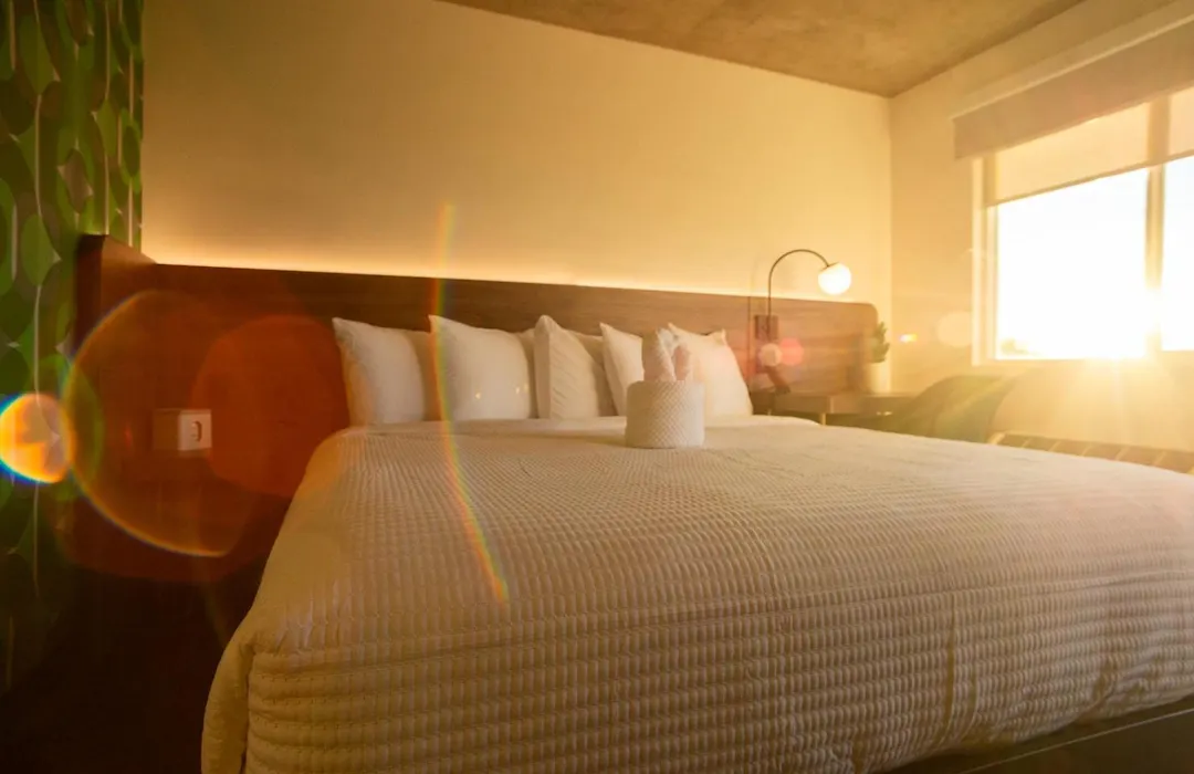 The Alice Hotel-1