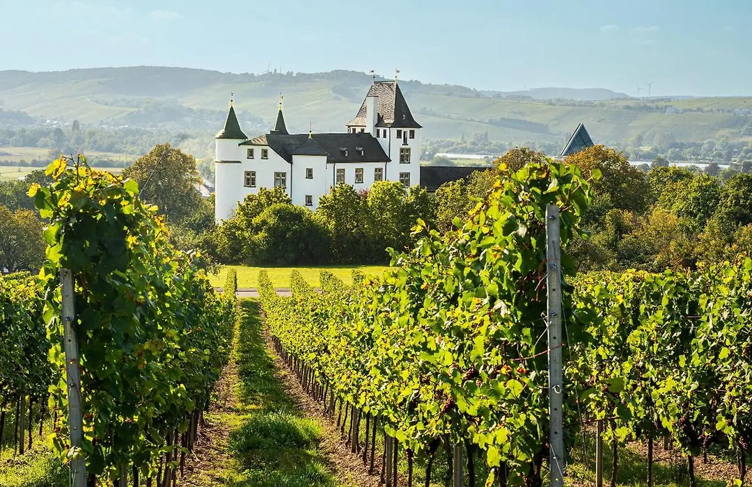 Victor's Residenz-Hotel Schloss Berg-1