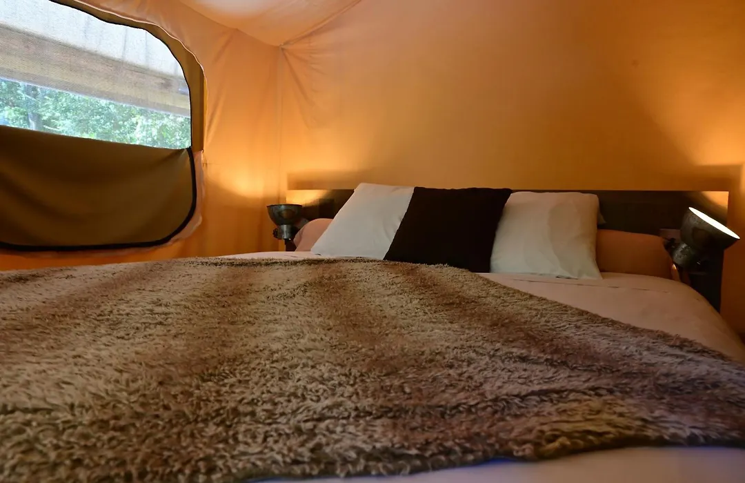 Prehistoric Lodge - Adult Only-1