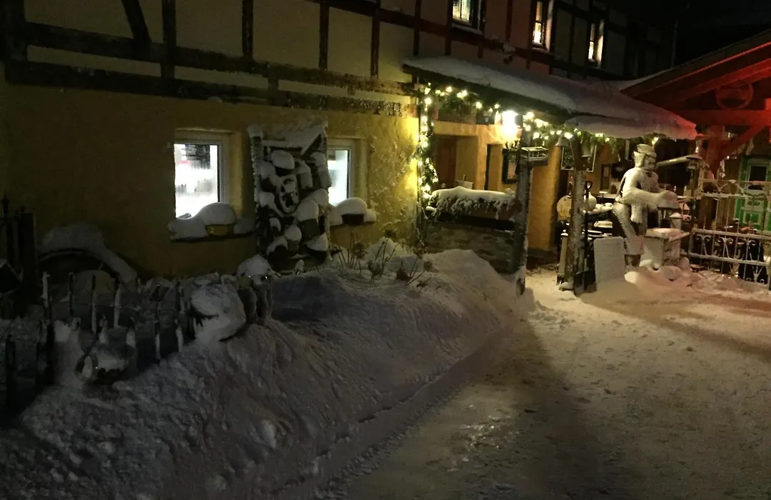 Hotel Olbernhau mit Sauna - Kleines Landhotel zur Ofenschenke-1